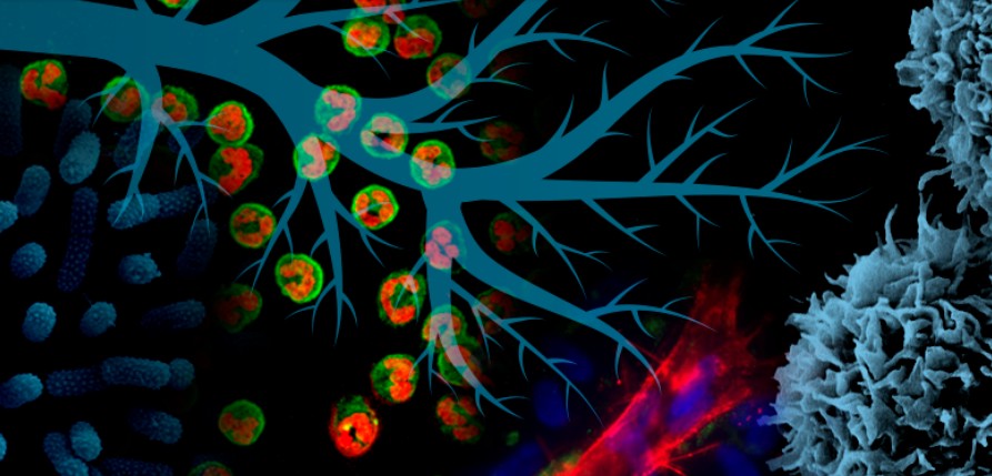 CEPR_Illustration