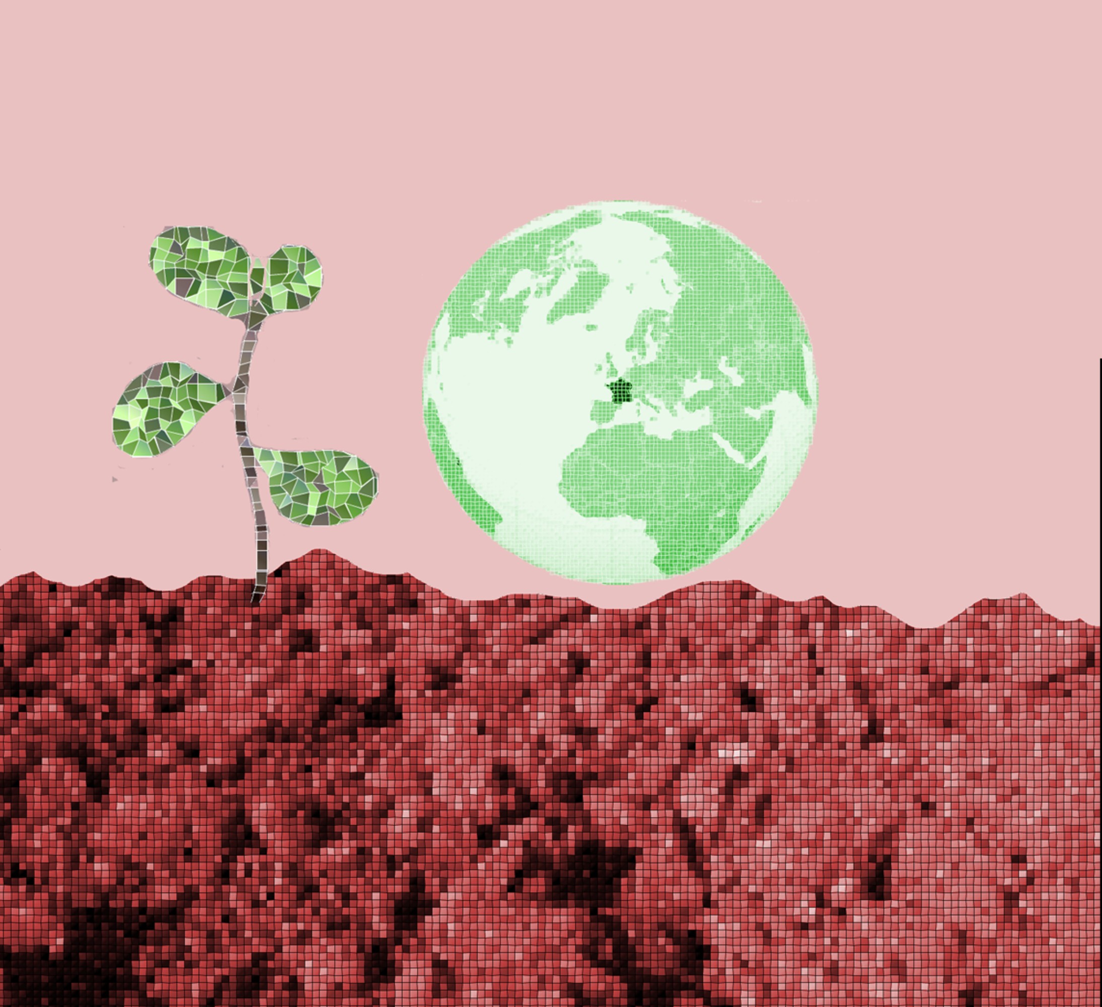 Digital Soil Mapping