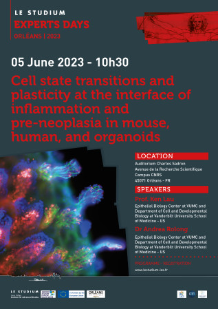 Cell state transitions and plasticity at the interface of inflammation and pre-neoplasia in mouse, human, and organoids