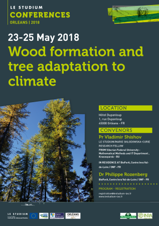 Wood formation and tree adaptation to climate