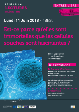 Est-ce parce qu'elles sont immortelles que les cellules souches sont fascinantes ?