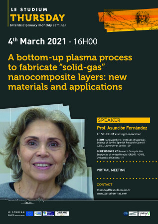 A bottom-up plasma process to fabricate “solid-gas” nanocomposite layers: New materials and applications